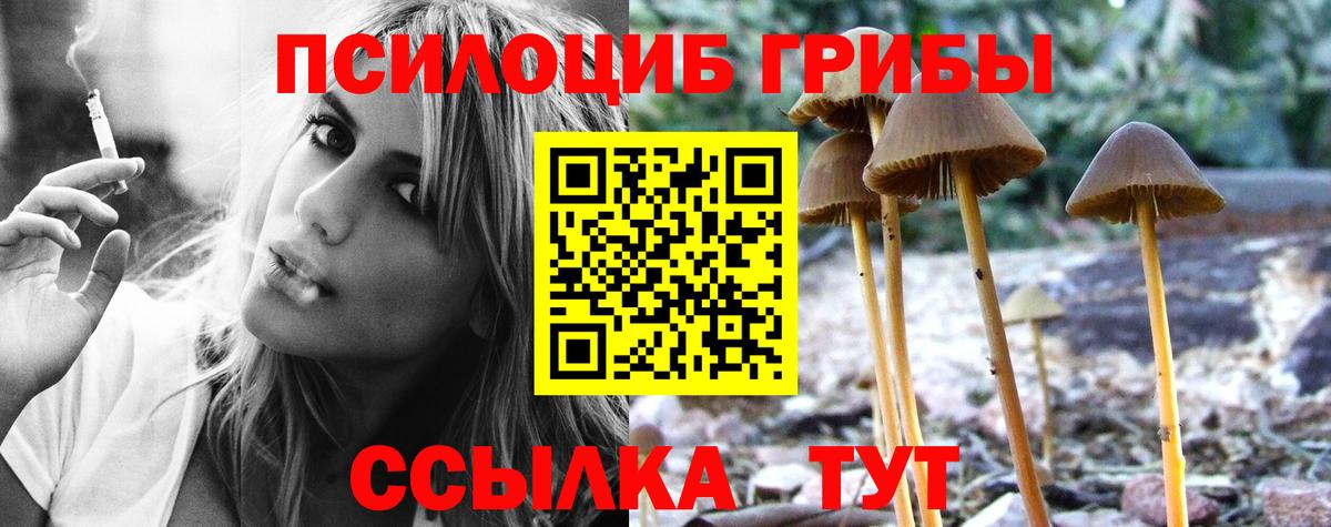 Псилоцибиновые грибы Magic Shrooms  Вход с VPN  Уфа  Псилоцибиновые грибы GOLDEN TEACHER 